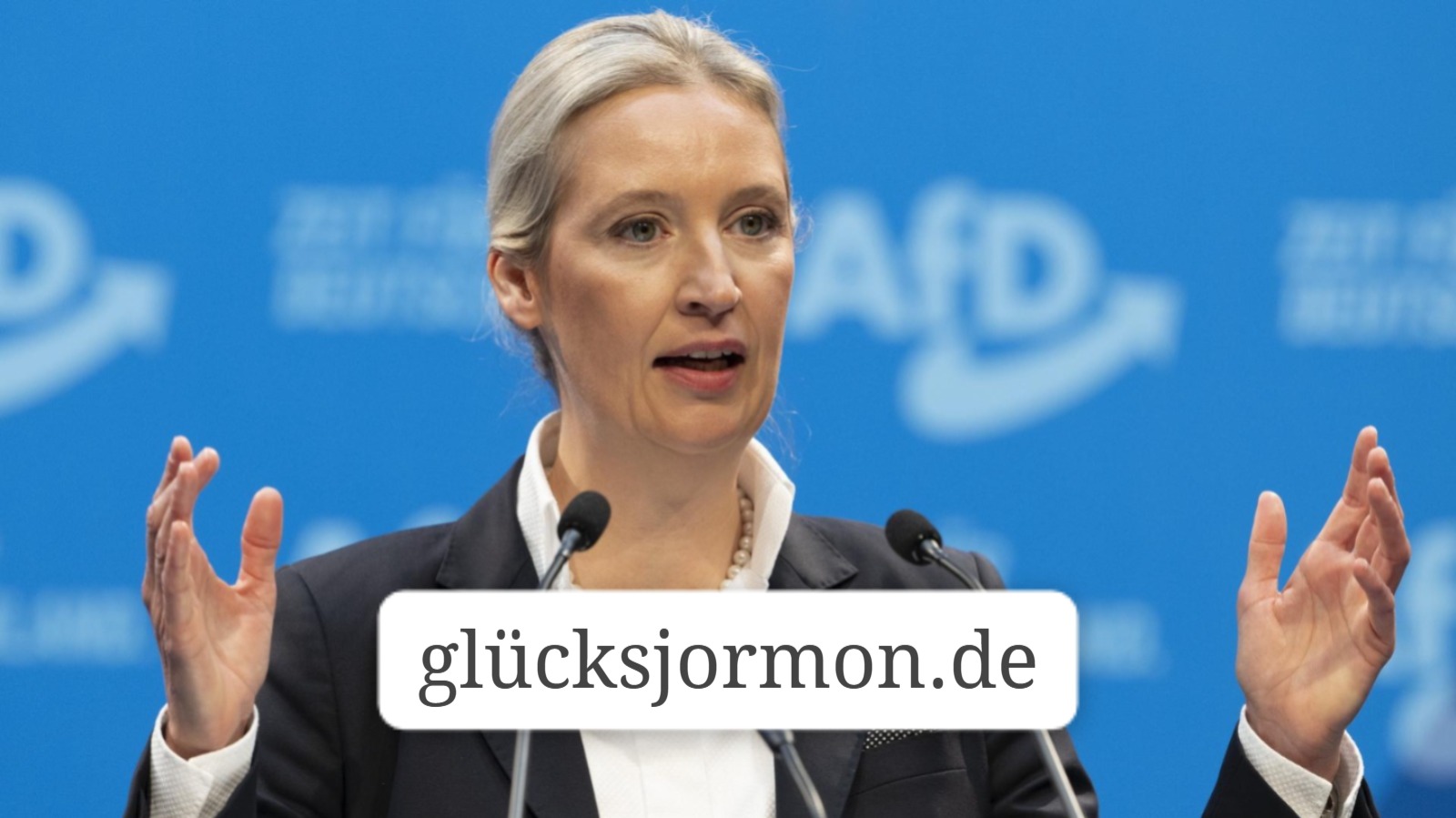 Alice Weidel Ohrprothese Ursprung Faktenlage und gesellschaftliche Debatte